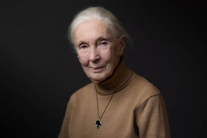 Jane Goodall Was Working with Assistant Only Hours Before She Died (Exclusive)