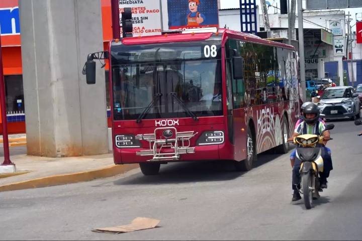 Transporte Ko’ox sumará 102 autobuses en colonias populares en próximas días