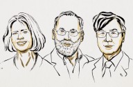 Mary E Brunkow, Fred Ramsdell and Shimon Sakaguchi win Nobel Prize in Medicine 2025
