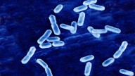 La OMS alerta sobre el aumento de las bacterias resistentes a antibióticos comunes