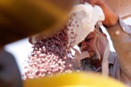 Brazilian farmers beef up soybean production as China halts business with U.S. during trade fight