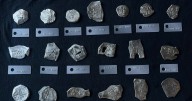 $1M worth of coins recovered in Spanish shipwreck off Florida coast, treasure hunters say
