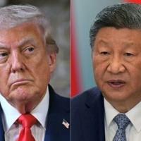 Trump says to push China's Xi on soybeans as US farmers struggle