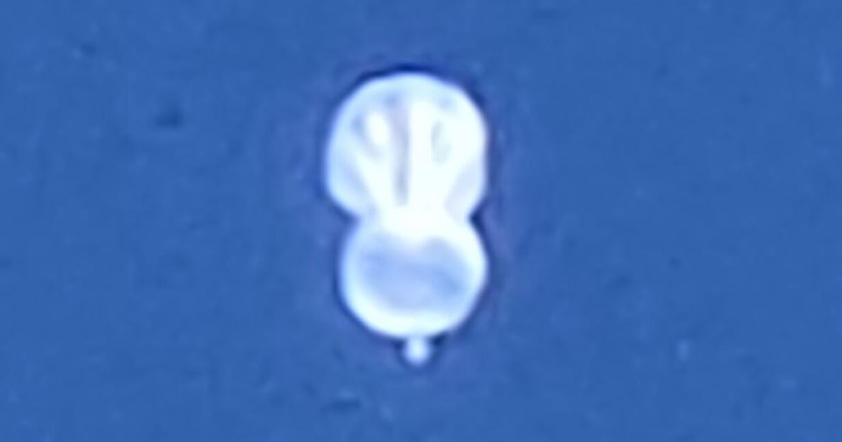 Curious balloon spotted in Tucson sky returns for system tests