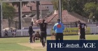 Grade cricketer blasts triple