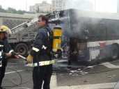 Bus crash in northeastern Brazil leaves 15 dead, police say