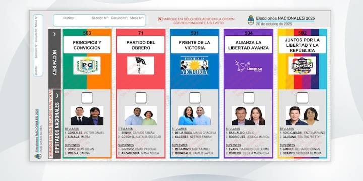 Elecciones 2025: cómo es la Boleta Única de Papel de Formosa y quiénes son los candidatos