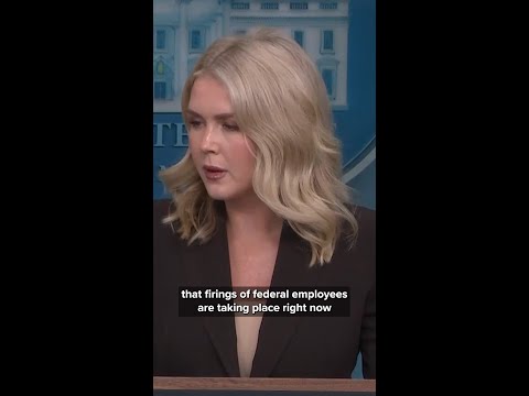 Leavitt warns federal workers won't be paid if Democrats don't end shutdown