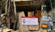 Clausura la PROFEPA en Quintana Roo 3 mil 994.12 hectáreas forestales a través de la mesa de combate a la tala ilegal