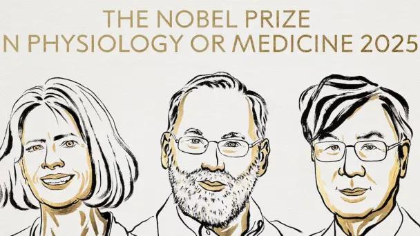 Nobel de Medicina 2025: Brunkow, Ramsdell y Sakaguchi