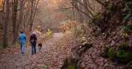Wildwood eyes 80 acres of 'beautiful' forest for park growth