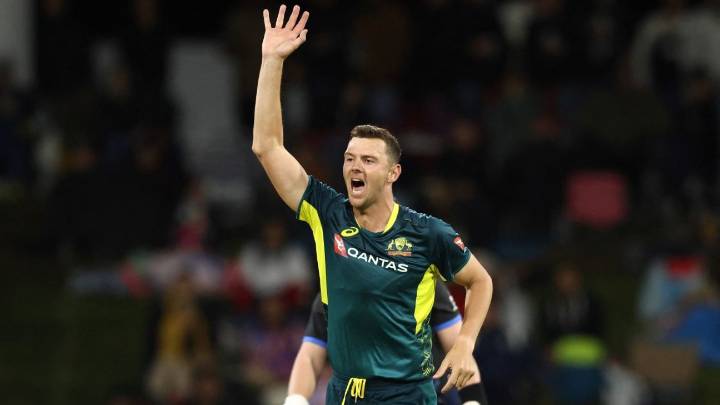 'The more the merrier' - Hazlewood calls for more allrounders in Ashes XI