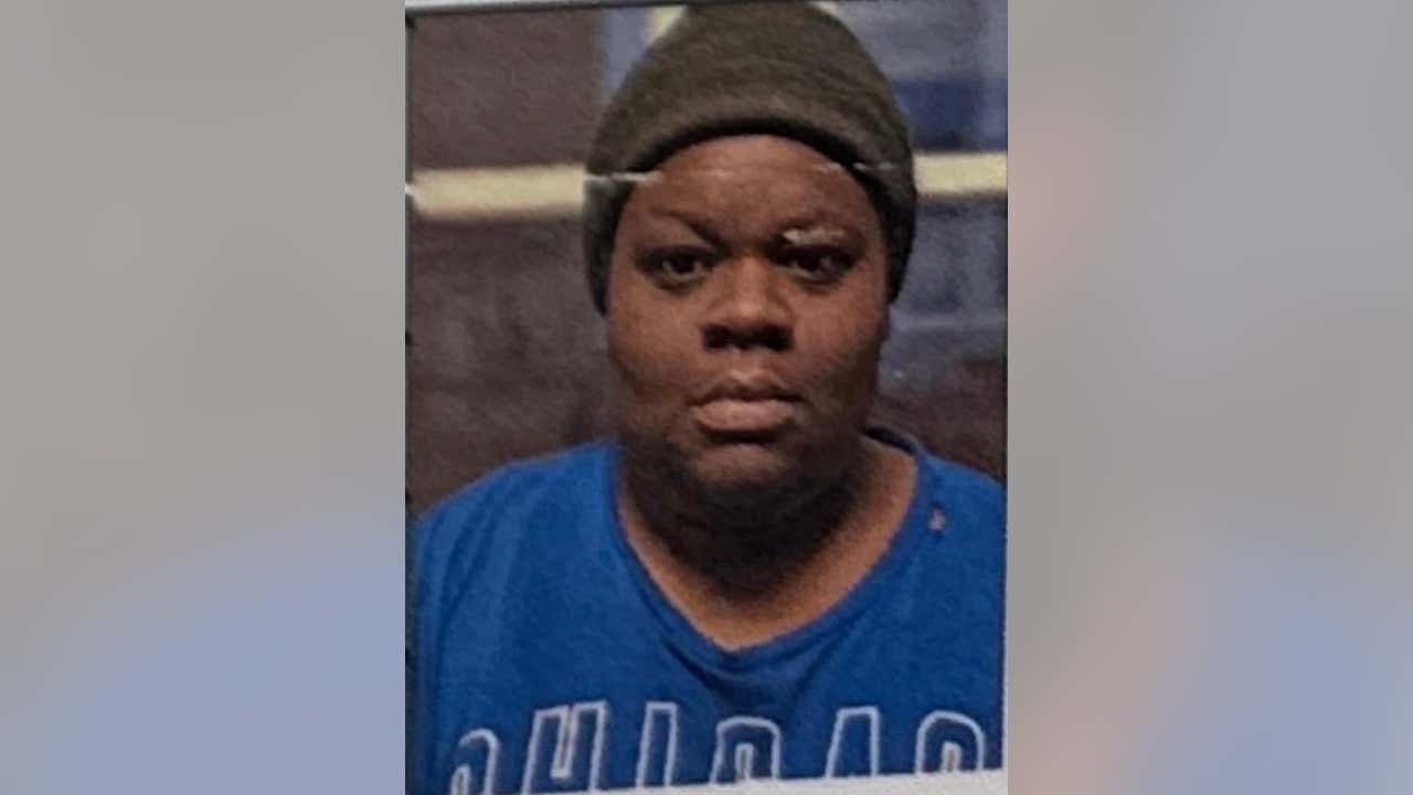 Sierra Hodges: Skokie woman missing after boarding CTA bus to Chicago
