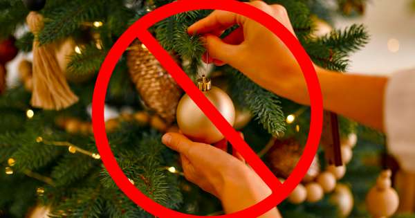 Adiós al arbolito de navidad: la nueva opción para hogares que puede reemplazarlo para siempre y es mucho más barata