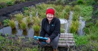 First rice crop harvested after record