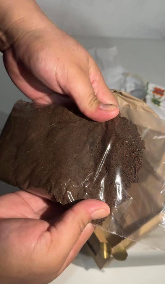 No habrá impunidad en caso Xibalbá, por presunto fraude en incineración de mascotas: Mara Lezama