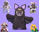 McLean County Hosting a Costume Contest for Dogs