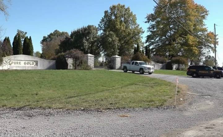 REPORT: Remains of horses found in Salem Twp. may date back to last winter