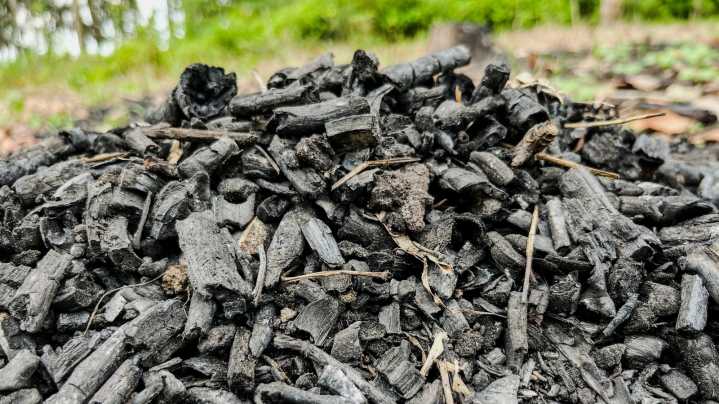 4 Types Of Charcoal You Can Use To Boost Your Garden (& How Are They Different?)
