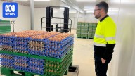 Millions being spent as Australia prepares for deadly H5 strain of bird flu