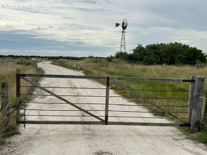 Controversia: la cámara de inmobiliarias rurales pidió “la desestimación” de un anteproyecto que generó revuelo en Buenos Aires