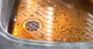 Households urged to pour vinegar down the drain this month