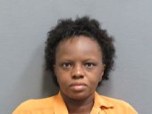 Murder suspect pleads guilty amid trial in Houston County