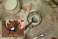 Michelin-starred restaurant serves yogurt with 'ancient recipe' using this ingredient