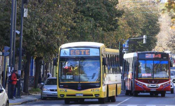 Micros: Alak envía al Concejo la ampliación de recorridos