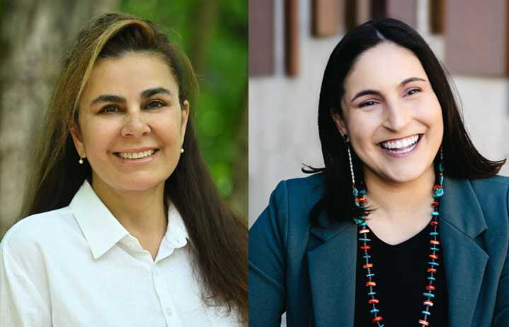 PDC: Gray spends more than $220,000 in bid to unseat Harless from Vancouver City Council