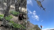 Utah Dog’s Bark Leads Rescuers To Woman With Dementia Lost In Wilderness