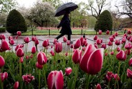 Less sunshine, more shadows? What taller skyscrapers could mean for Boston Public Garden after zoning change