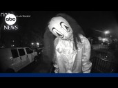 Police search for Halloween mask-wearing trio who terrorized family