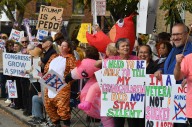 Valparaiso No Kings protest draws more than 1,000 people