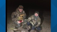 Coyote surge in Central Georgia spurs predator hunts amid residential encroachment concerns