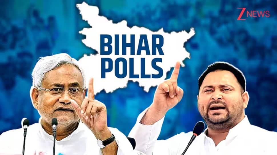 Bihar Election 2025: Survey Reveals Biggest Issues; Youth Take Centerstage As Poll Dates Announced