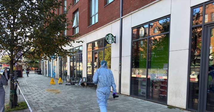 Streatham Hill stabbing: Forensics team and sniffer dog pictured gathering evidence outside Starbucks