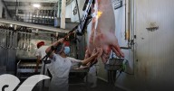Retiran carne de Soriana, Bodega Aurrerá y mercado Independencia a unos días de caducar