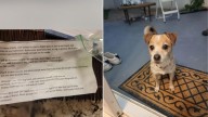 Arizona Couple Steps In To Help Abandoned Dog Found With A Tearful Message