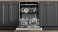 This Might Be The Worst Dishwasher Appliance Brand You Could Buy In 2025