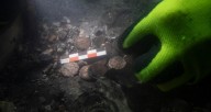 Hundreds Of Roman-Era Coins Found In The Rhône River