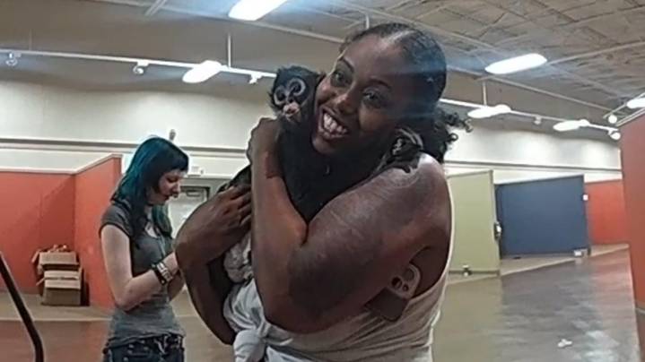 Monkey got loose in a North Texas Spirit Halloween store before returning to owner, police say