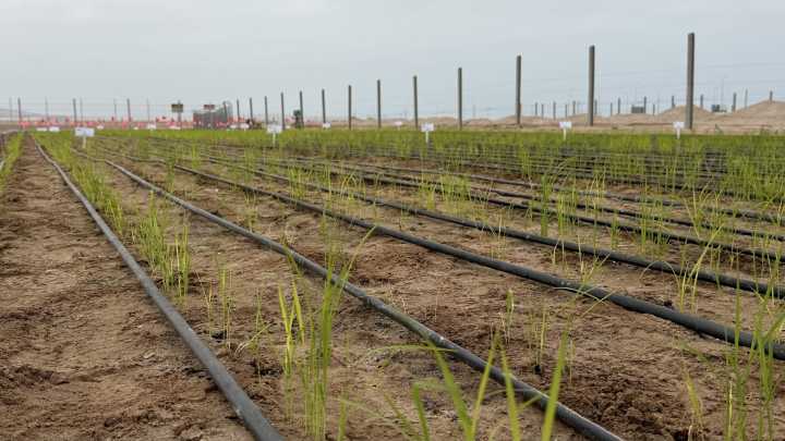 De Norte a Sur: Cómo el calentamiento global borra las fronteras climáticas del país
