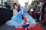 New York City's Tompkins Square Halloween Dog Parade Returning on October 19
