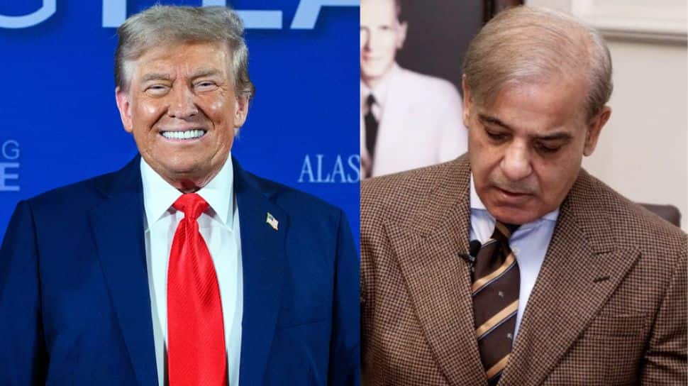 Pakistan's AMRAAM Dreams Crushed: US Clarifies 'No New Missiles' - Only Maintenance Support For Aging Arsenal