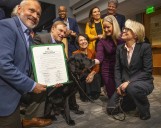 ‘A cold nose and warm heart: ‘ King County’s Errol the Courthouse Dog retires after decade of bringing comfort to kids, vulnerable adults