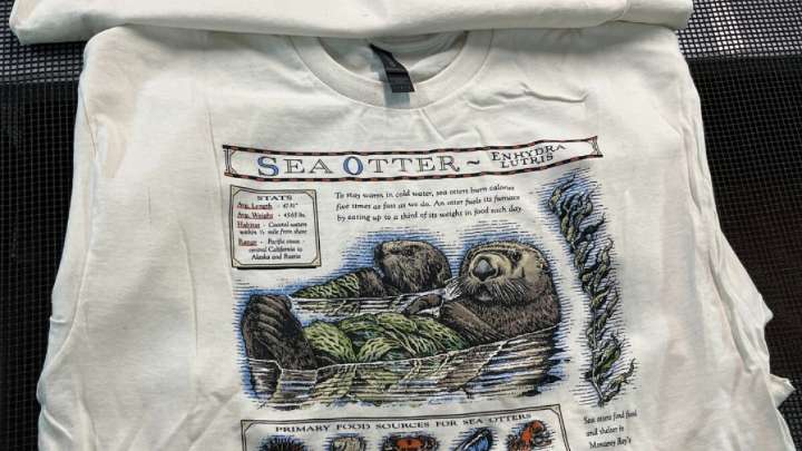 Liberty Graphics teams up with Monterey Bay Aquarium to save sea otters, with help from Taylor Swift