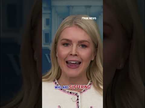 Karoline Leavitt: The Democrats are playing ‘political games’  #shorts #fox #media #shutdown