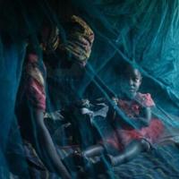 Climate change, population growth threats as malaria fight stalls