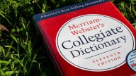 Dictionary.com picks a ‘nonsensical and playfully absurd’ word of the year
